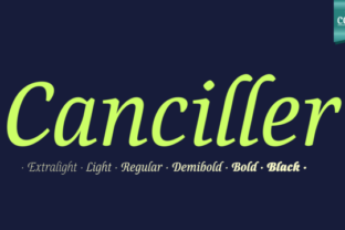 Canciller Family: The Elegant Script Font for Modern Brand Identity