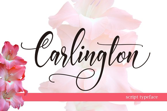 Carlington Script: A Modern Typeface for Digital Branding