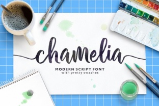 Chamelia: The Handwritten Typeface That Elevates Campaign Clarity