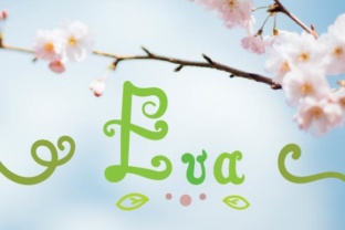 Eva Script: A Playful Hand-Drawn Typeface for Modern Web Design