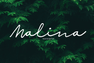 Malina: A Handwritten Script Font for Crafters and Sellers