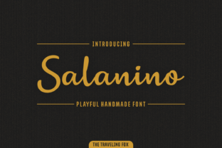 Salanino: A Designer’s Honest Review for Real-World Projects