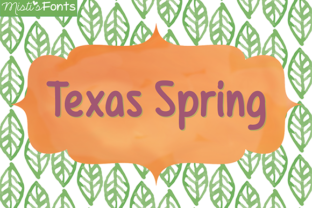 Texas Spring Typeface Review: A Clean Script for Modern Brands